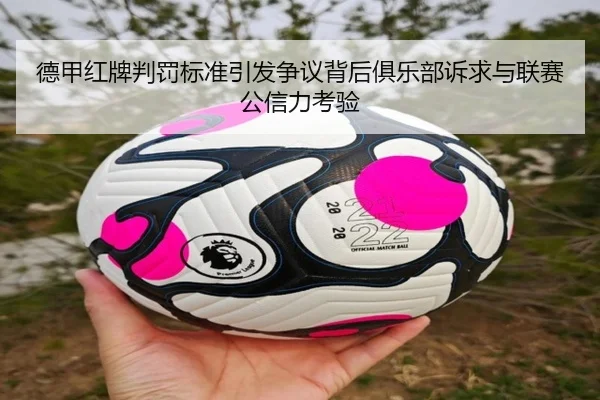 德甲红牌判罚标准引发争议背后俱乐部诉求与联赛公信力考验